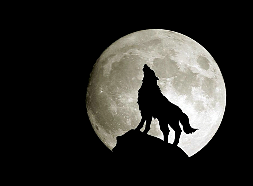 tanda makhluk halus tanda makhluk halus