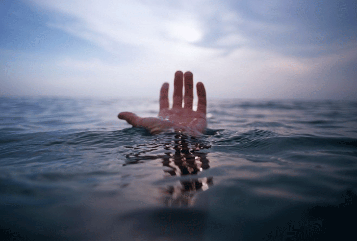 life under sea water essay life under sea water essay