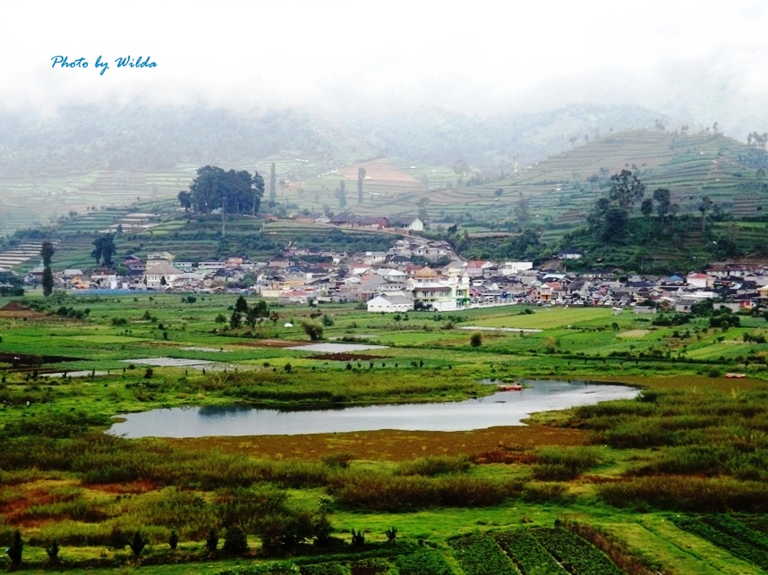 Wisata jogja hutan pinus paket wisata offroad bandung