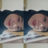 Fida Hafidzah