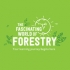 The Fascinating World of Forestry - ID