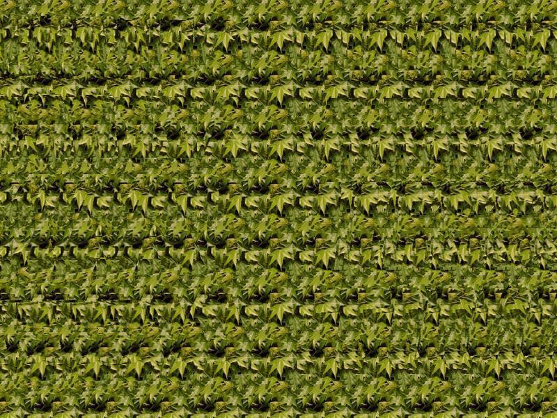 Hanya Orang Tertentu yang Bisa Melihat Gambar Ini oleh Hanya Orang Tertentu yang Bisa Melihat Gambar Ini oleh