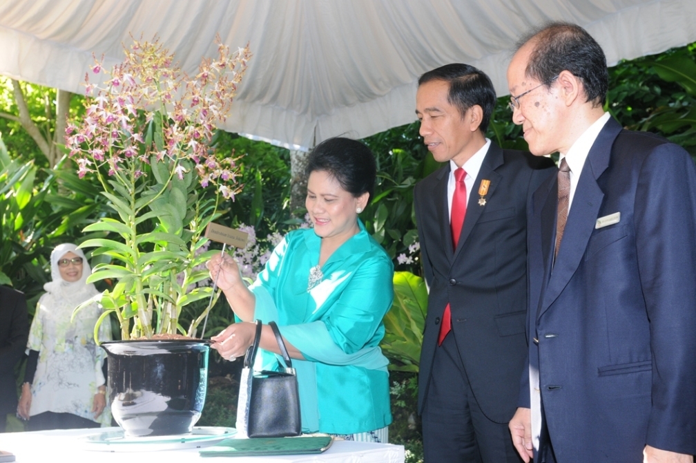 Diplomasi Anggrek Singapura Sindiran Memalukan untuk Diplomasi Anggrek Singapura Sindiran Memalukan untuk
