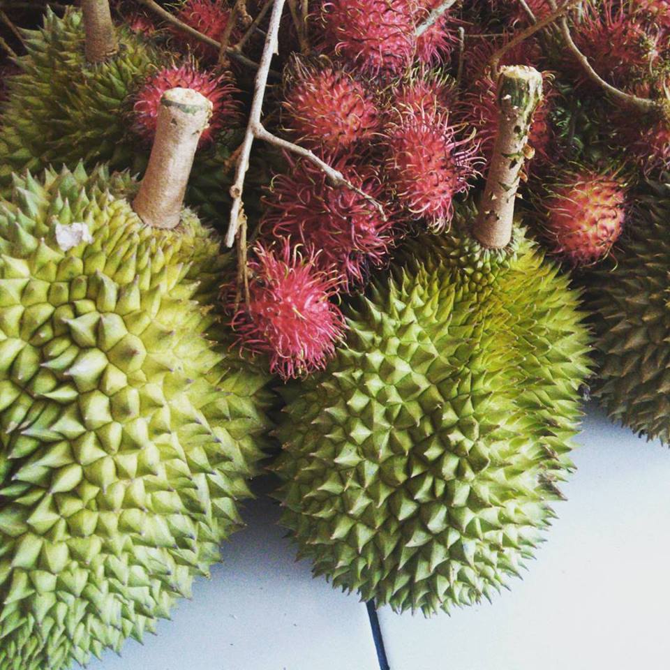 Unduh 5700 Gambar Durian Rambutan Keren 