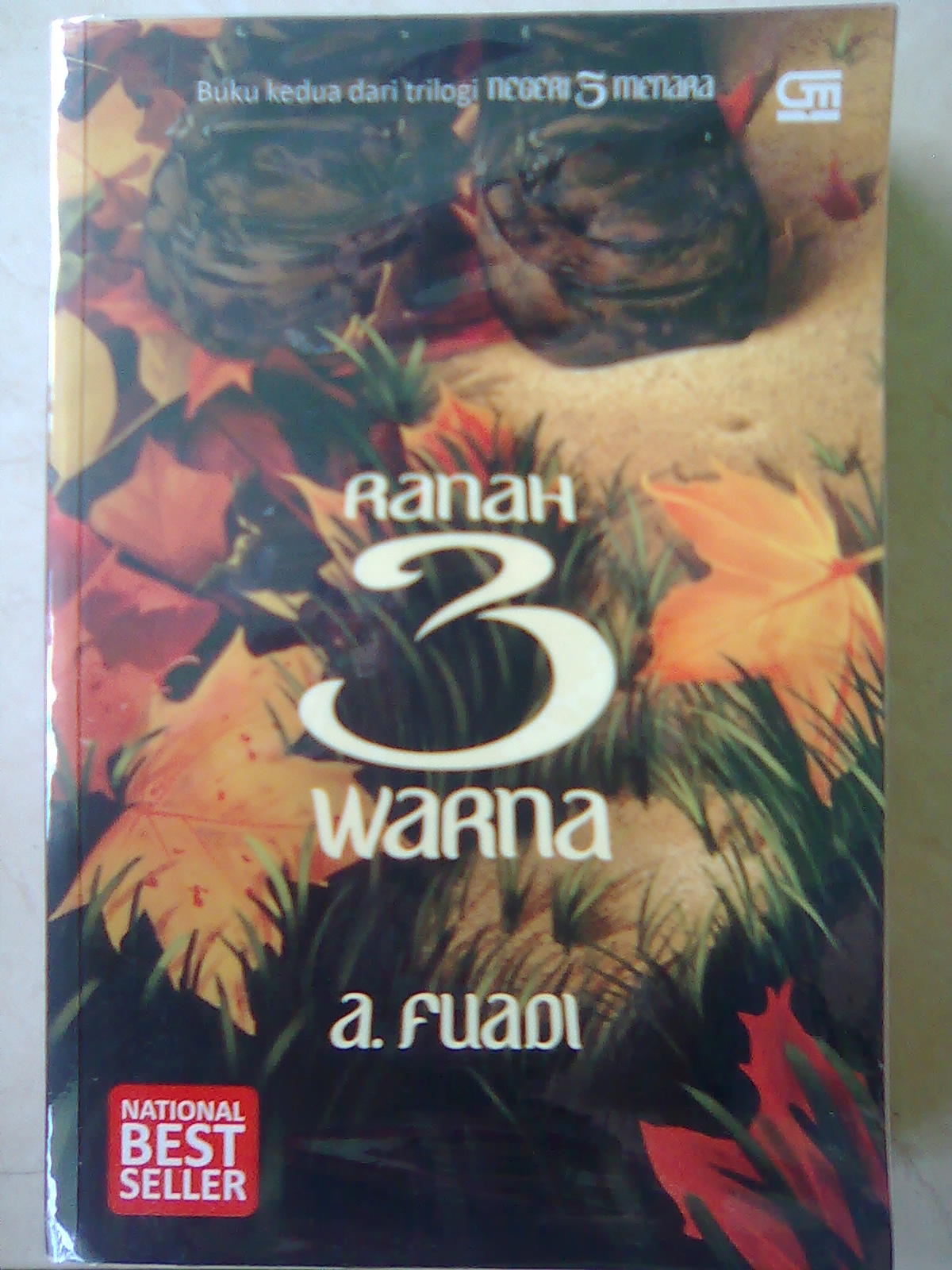 Resume Novel Ranah 3 Warna Halaman All Kompasiana Com