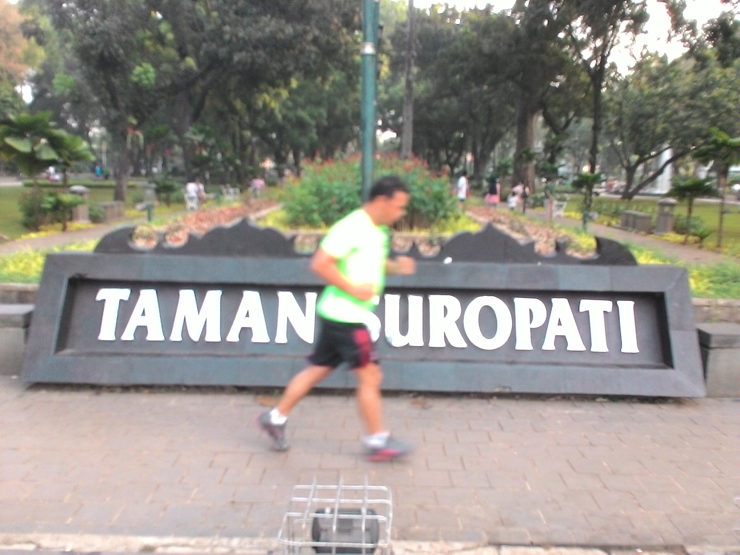 Taman Suropati Jendela Hijau Jakarta Halaman All