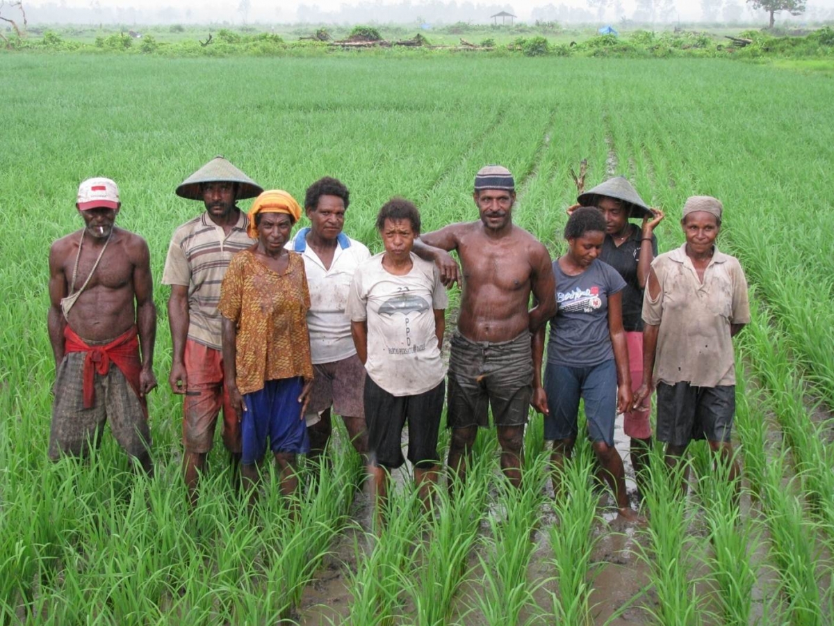 Siapa Bilang Orang Papua Engga Bisa Bertani Oleh David Bekam Halaman 1 Kompasiana Com Siapa Bilang Orang Papua Engga Bisa Bertani 560be94bd37a611e0ab9b0a1