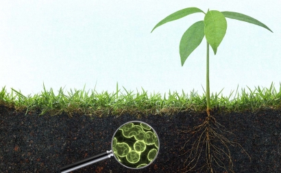 Sifat tanah yang dapat mengganggu pertumbuhan mikroorganisme didalam tanah adalah