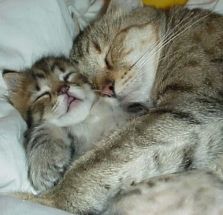 Pegel Hati Dan Capek Pikiran Halaman 1 Kompasiana Com