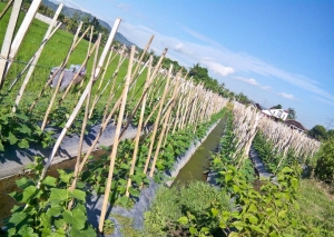 Mendefinisikan Keindahan Desa Halaman All Kompasiana Com