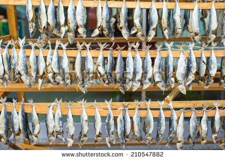 Ikan Asin Tanda Persahabatan Halaman All Kompasiana Com