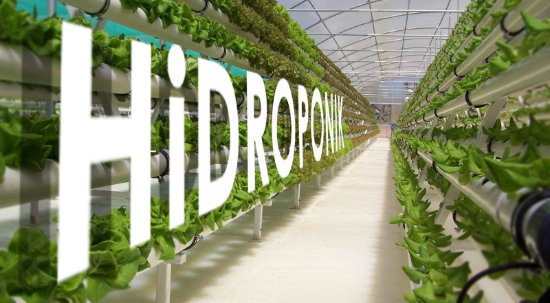 Solusi Tuntas Pada Lahan Terbatas Kompasiana Com