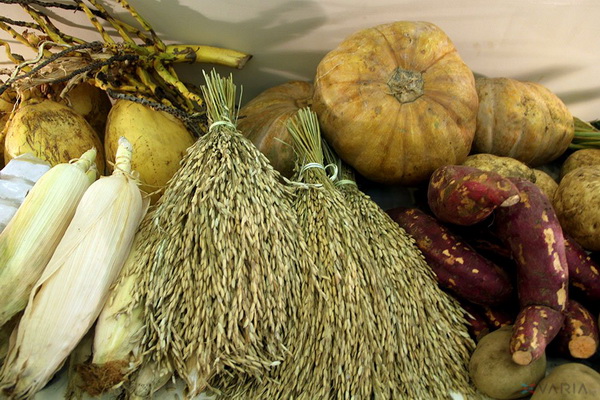 Hari Pangan Sedunia Dan Ketahanan Pangan Kita Halaman All Kompasiana Com