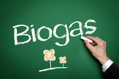 Dimanfaatkan energi sumber untuk daya biogas yang adalah alam menghasilkan Energi Alternatif,