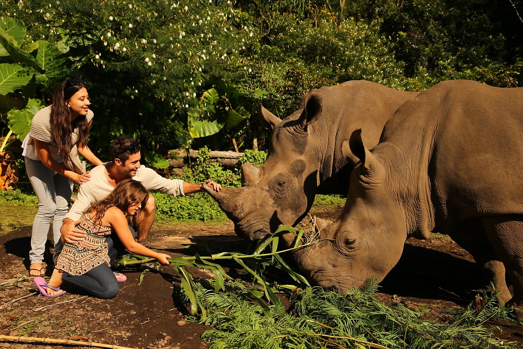 Taman Safari Prigen Lebih Dari Sekedar Kebun Binatang