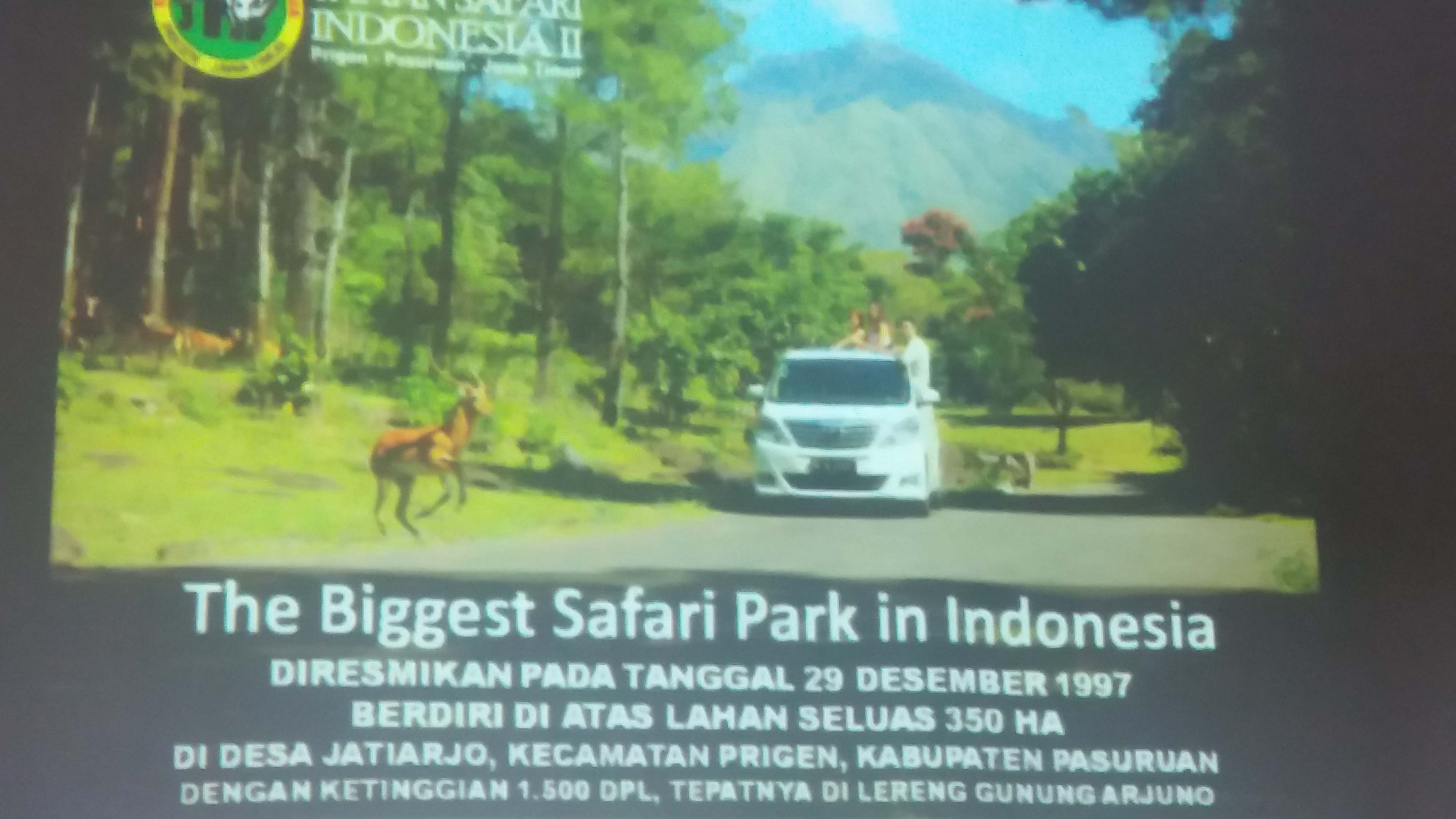 Ingin Bertualang Sekeluarga Ke Taman Safari Prigen Saja oleh Khairunisa Maslichul Halaman all Kompasiana