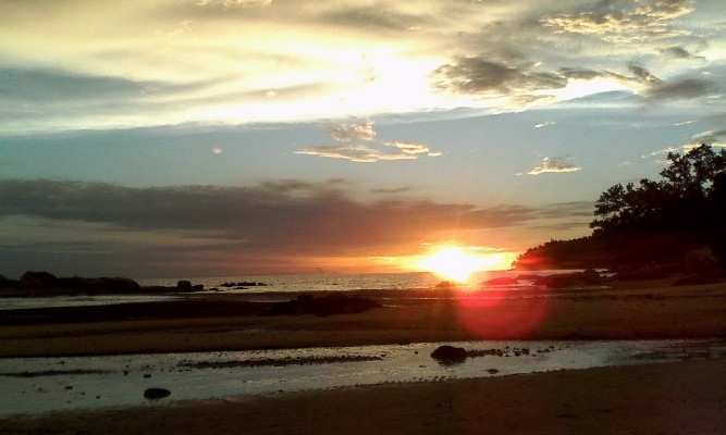 Menikmati Indahnya Ciptaan Tuhan Di Hutan Dekat Pantai Mak Bagok
