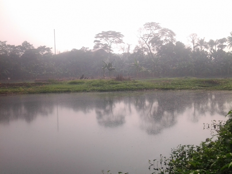 Situ Gede Kota Bekasi Layak Dikembangkan Jadi Taman Wisata Air Kompasiana Com Situ Gede Kota Bekasi Layak Dikembangkan Jadi Taman Wisata Air Kompasiana Com