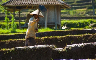 Paradigma Baru Pembangunan Pertanian Kompasiana Com