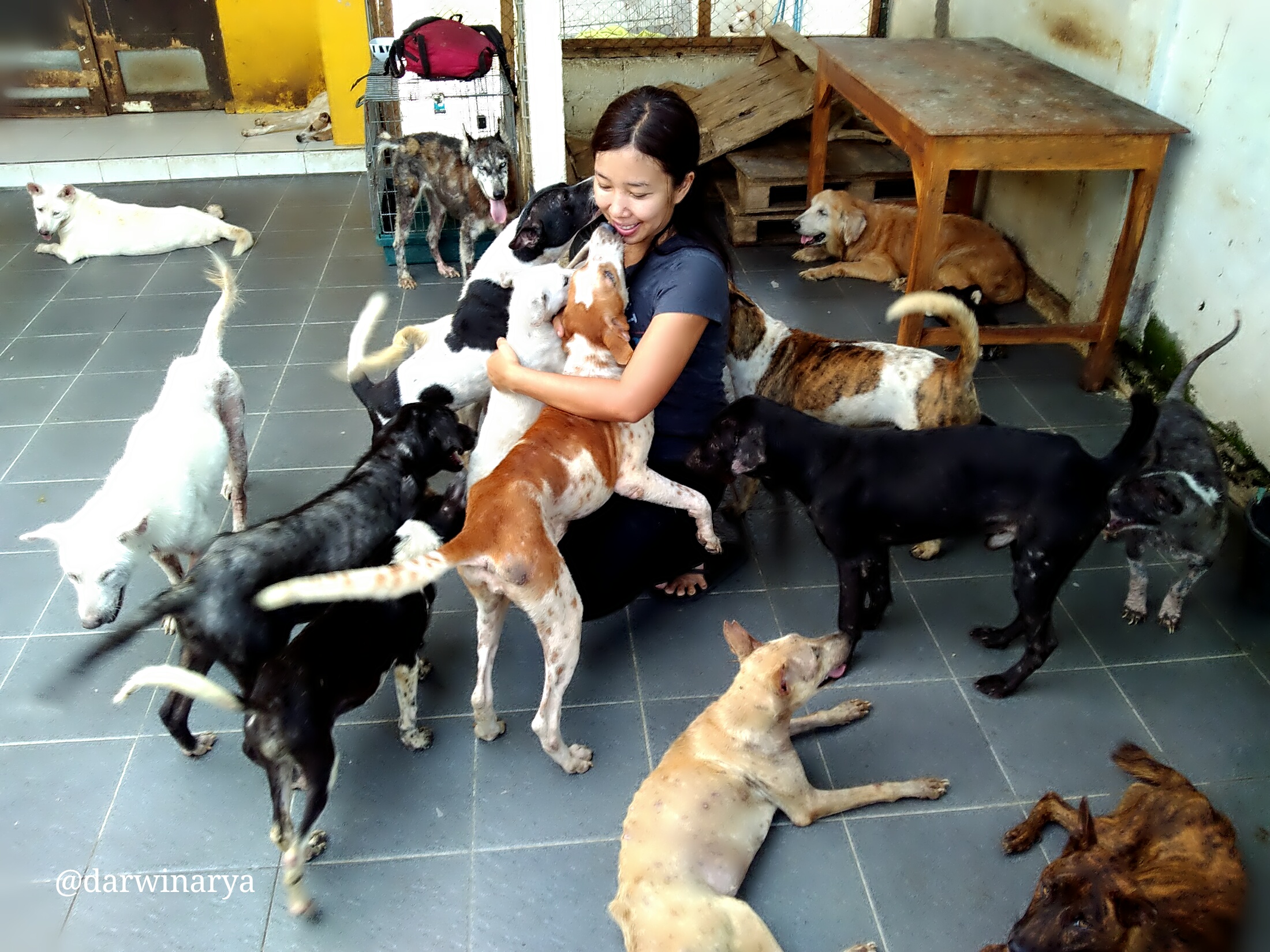 Tio Russ Dewi Penyelamat Satwa Bali Halaman All Kompasiana Com