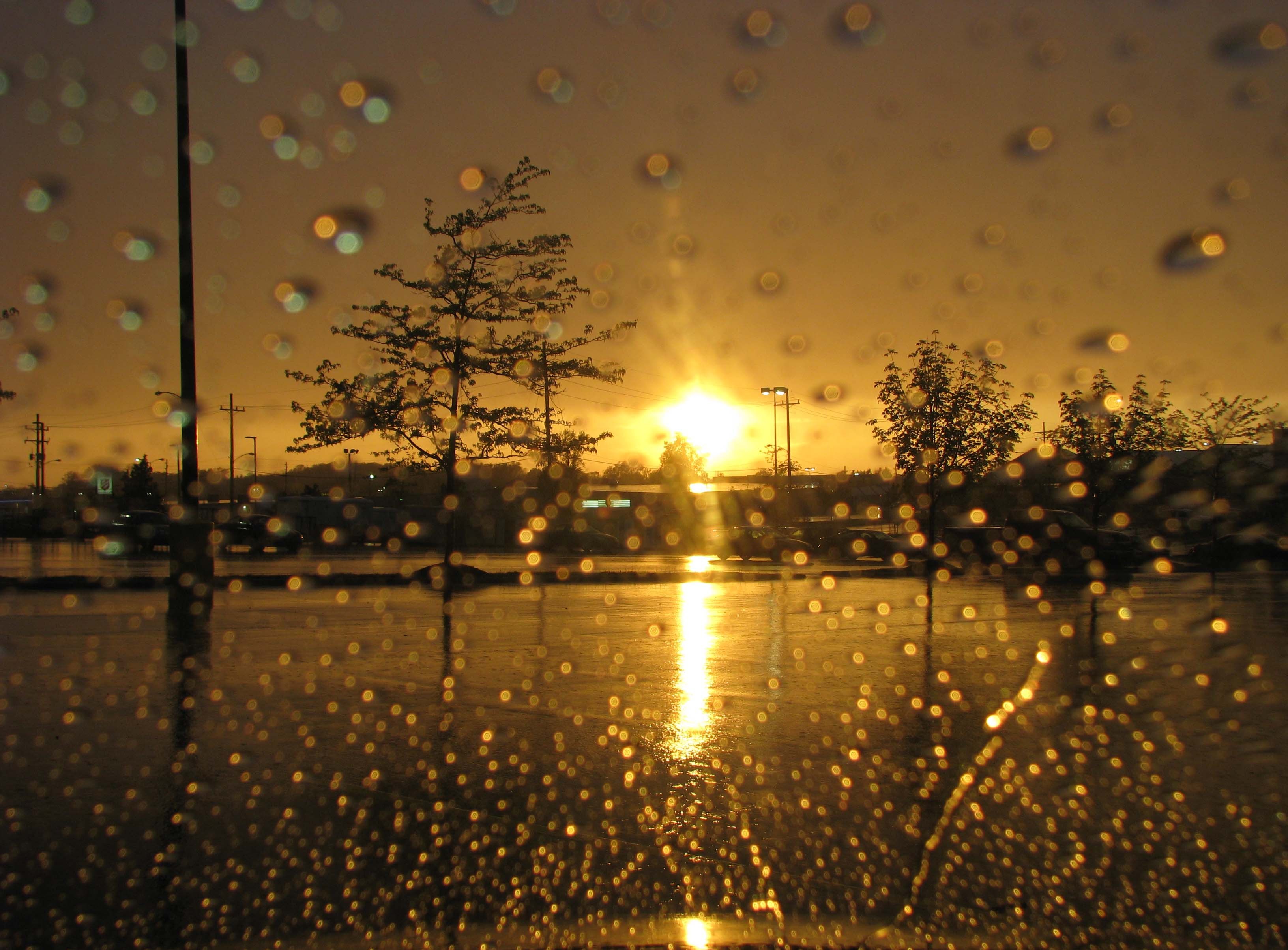 Antara Hujan Dan Senja