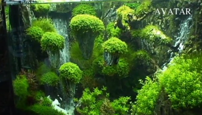 5204c19514327 570bd7d9309773410911527e