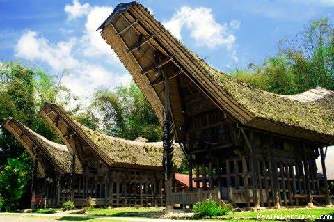 Keunikan Rumah Tongkonan Rumah Adat di Indonesia Keunikan Rumah Tongkonan Rumah Adat di Indonesia
