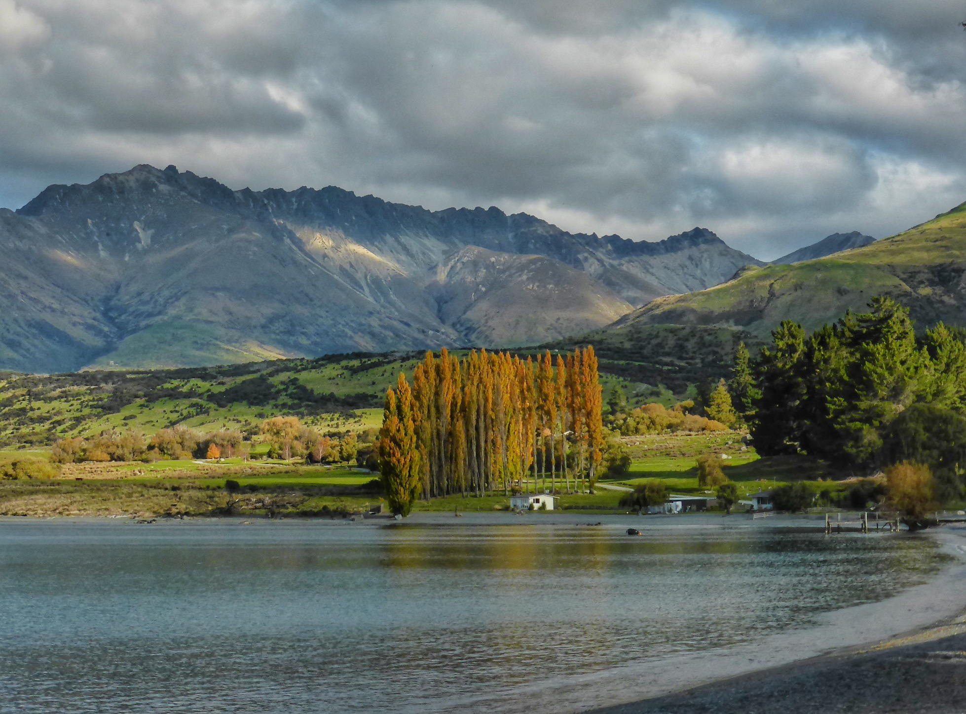 Mengintip Kehidupan Peternakan Di New Zealand Halaman 1