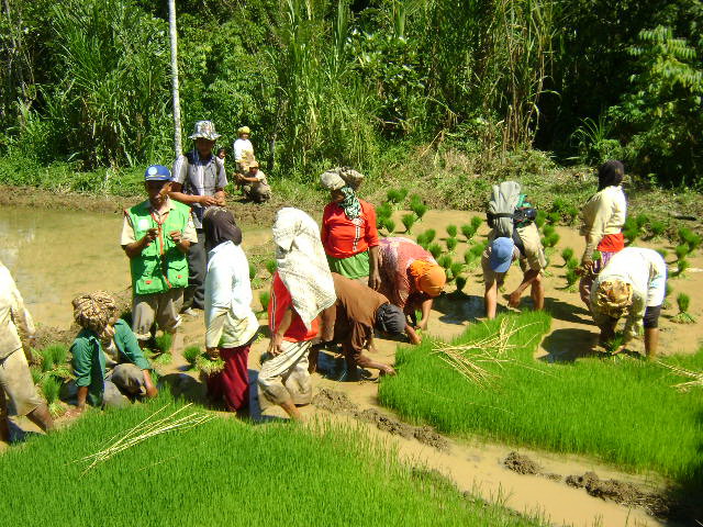 PENYULUHAN PERTANIAN - AgriEducation