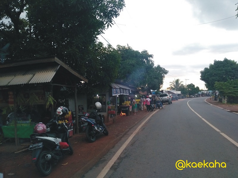 Singgah di  Kampung Jagung Manis Bati  Bati  Tanah Laut  Singgah di  Kampung Jagung Manis Bati  Bati  Tanah Laut