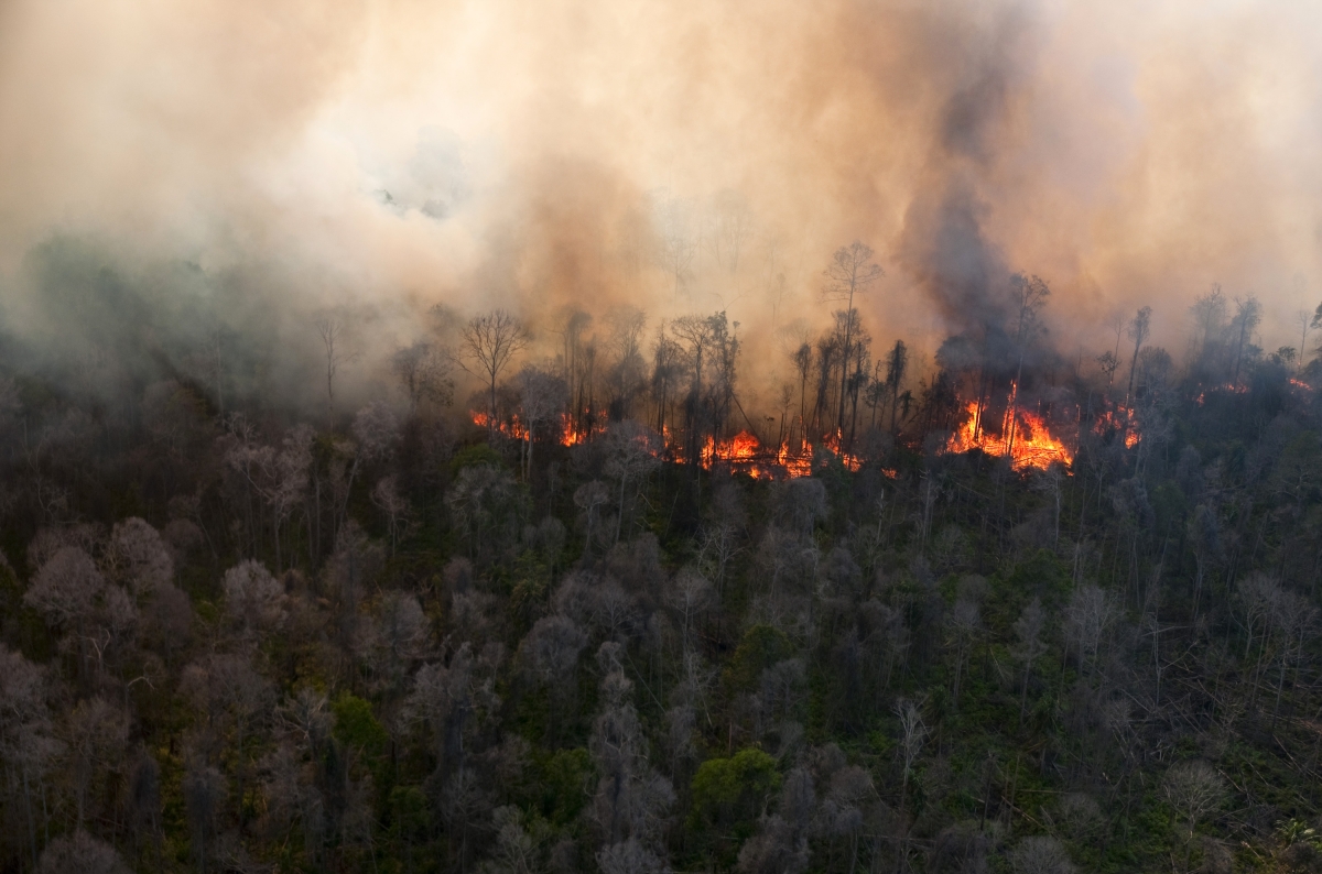 Kebakaran Hutan Di Riau Kini Telan Korban Seorang Prajurit TNI Oleh