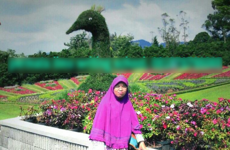 Ke Taman Bunga Nusantara dengan Angkutan Umum Kompasiana com Ke Taman Bunga Nusantara dengan Angkutan Umum Kompasiana com