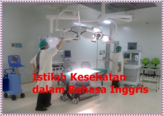 Istilah Medis Dalam Bahasa Inggris Kompasiana Com