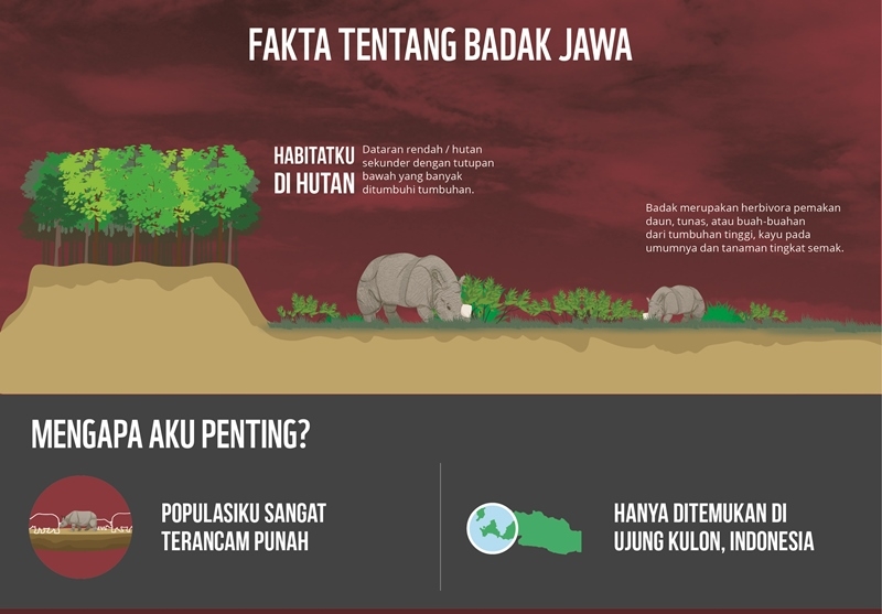 Halaman profil Irwan Lalegit - Kompasiana.com Halaman profil Irwan Lalegit - Kompasiana.com