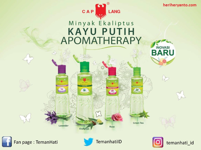Minyak Kayu Putih Aromatherapy Cap Lang Gabungan Aroma Dan Kehangatannya Siap Melegenda Kembali Halaman All Kompasiana Minyak Kayu Putih Aromatherapy Cap Lang Gabungan Aroma Dan Kehangatannya Siap Melegenda Kembali Halaman All Kompasiana