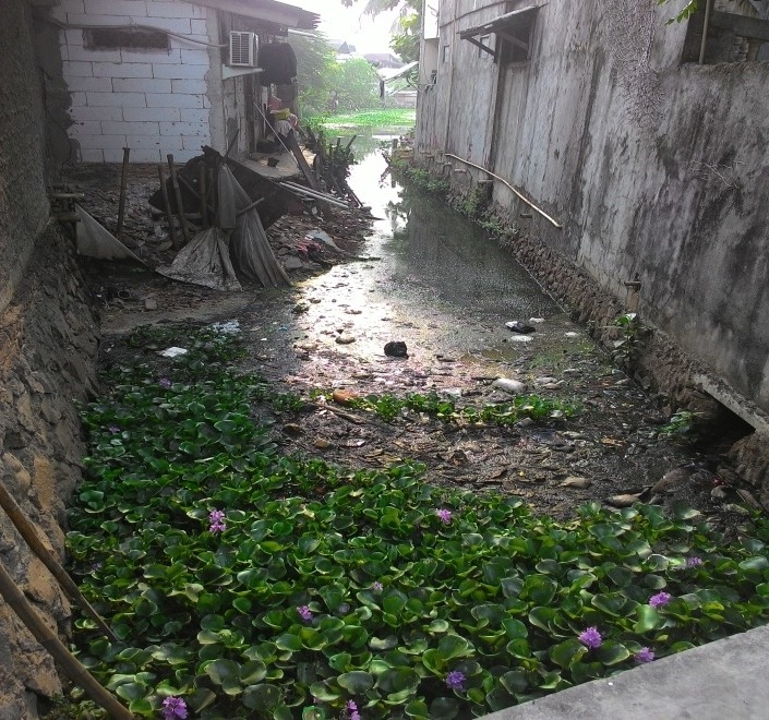 Makalah Pencemaran Air Sungai Di Indonesia