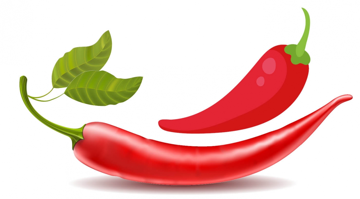 Cabe Halaman 1 - Kompasiana.com