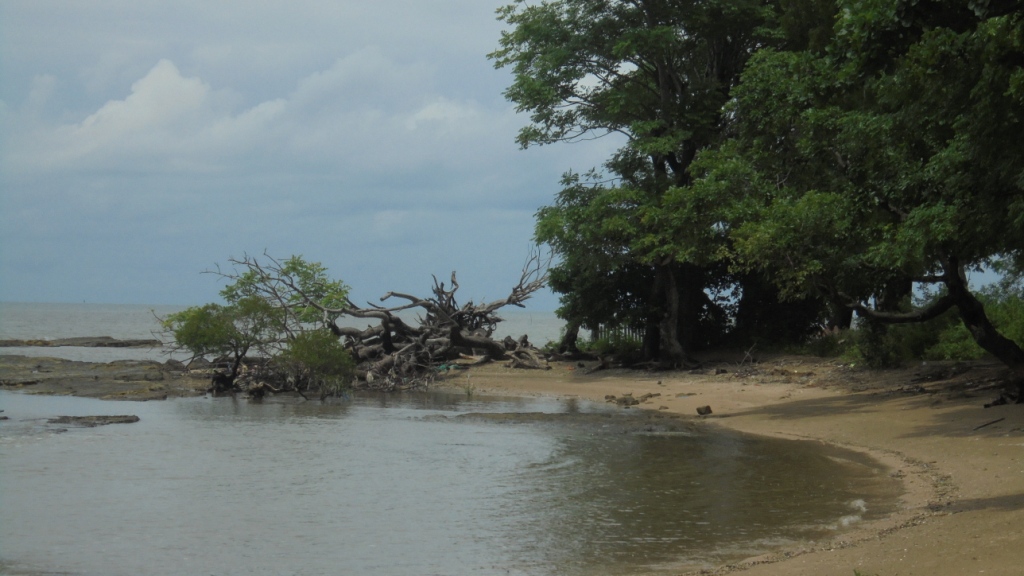 Pantai Kuri Yang Belum Terjamah Kompasiana Com