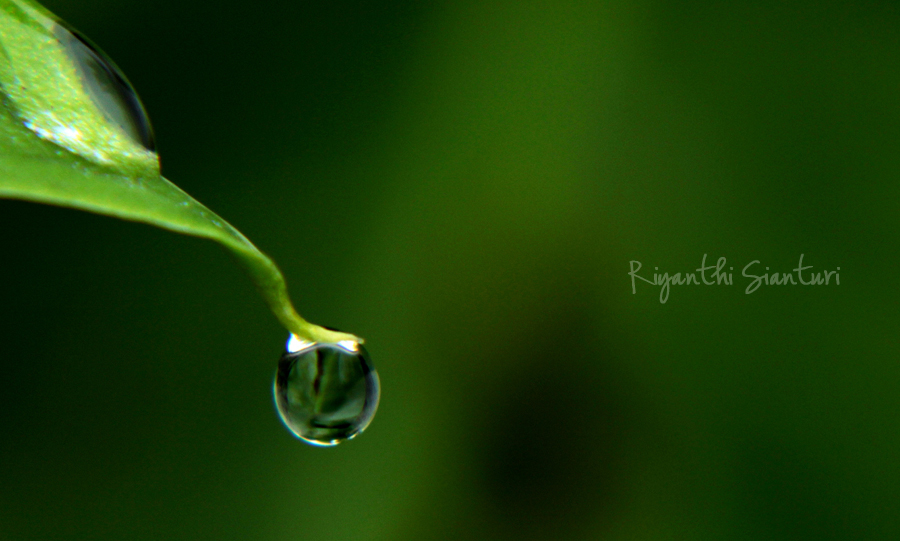 Puisi Cara Beragamanya Embun Pagi Kompasiana com Puisi Cara Beragamanya Embun Pagi Kompasiana com