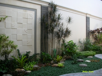 Beberapa Tanaman Pengganti Rumput Untuk Taman Halaman 1