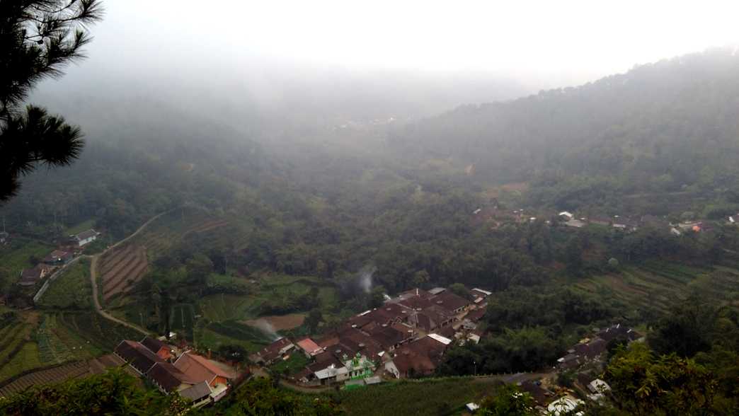Dusun Brau Daerah Terpencil Penghasil Susu Sapi Perah Utama Di