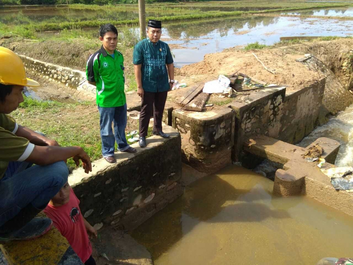 Pengelolaan Limbah Kelapa Sawit Pt Jas Mulia Berdampak Pada