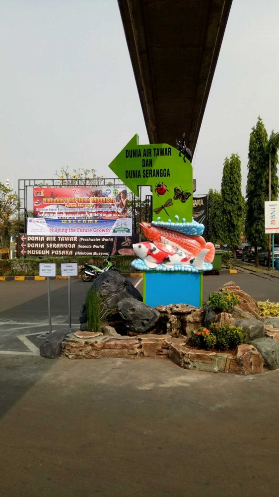 Serangga dalam Dunia Air Tawar  Kompasiana com Serangga dalam Dunia Air Tawar  Kompasiana com