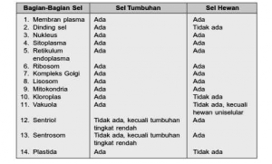 Perbandingan Ukuran Sel Halaman All Kompasianacom Perbandingan Ukuran Sel Halaman All Kompasianacom