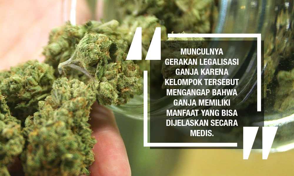 Unduh 83 Koleksi Gambar Hashish Narkoba Terbaik Gratis HD