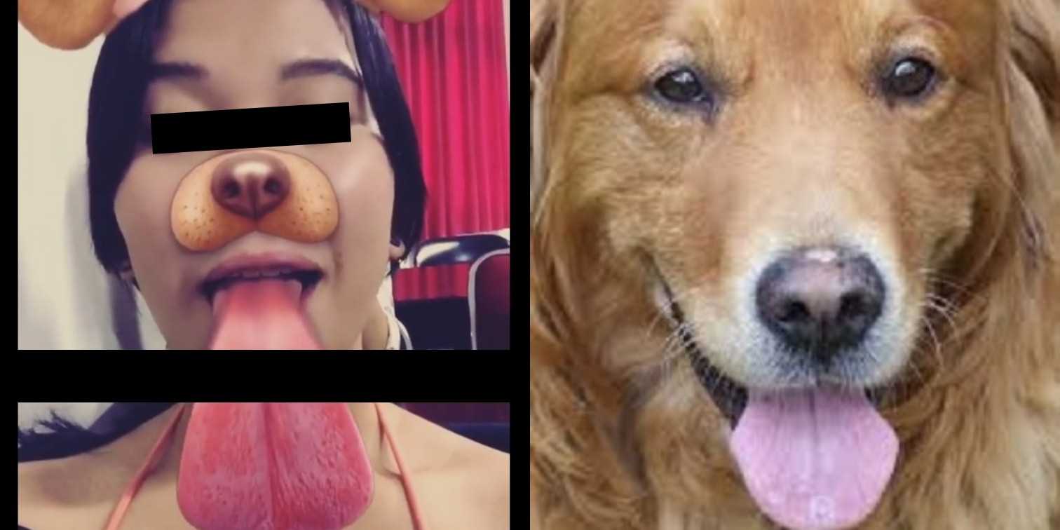 Manusia Yang Berprilaku Laiknya Anjing Kompasiana Com