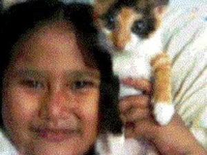 Misteri Di Balik Takutnya Kucing Pada Air Halaman All Kompasiana Com