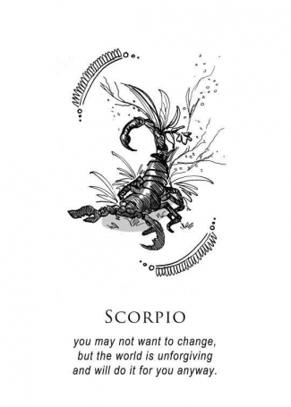 5 Trik Menaklukkan Hati Sang Scorpio Halaman 1 Kompasiana Com