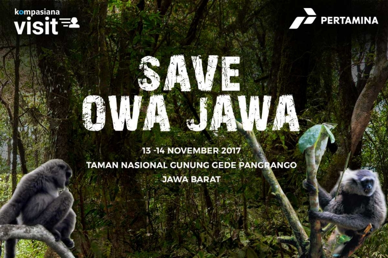 Saatnya Dukung Pelestarian Owa Jawa bersama Pertamina