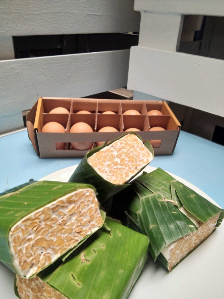 Kisah Di Balik Tempe Yang Kita Makan Sehari Hari Halaman 1 Kompasiana Com Kisah Di Balik Tempe Yang Kita Makan Sehari Hari Halaman 1 Kompasiana Com